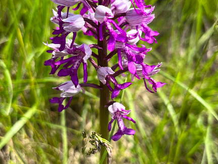 22-05-08 11-01-27 0760